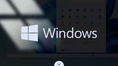 Top 10 Programs Every Windows User Should Install