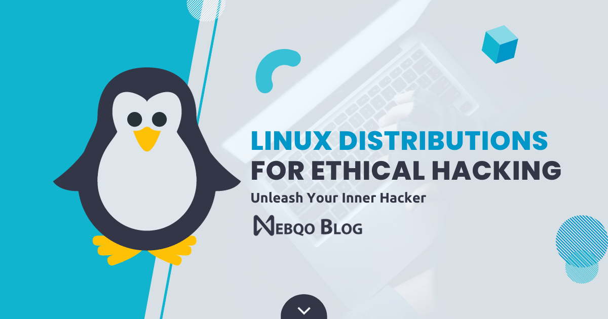 The Best Linux Distributions for Ethical Hacking