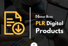 PLR Digital Products