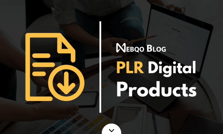 PLR Digital Products